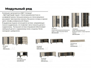 Гостиная Отис Дуб Крафт Серый/Антрацит в Кунашаке - kunashak.magazinmebel.ru | фото - изображение 5