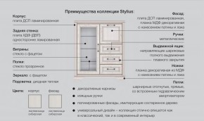 Прихожая модульная Стилиус в Кунашаке - kunashak.magazinmebel.ru | фото - изображение 2