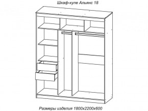 Шкаф-купе Альянс 18 комплект зеркал №4 в Кунашаке - kunashak.magazinmebel.ru | фото - изображение 2