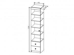 Шкаф Сканди ШД450.1 в Кунашаке - kunashak.magazinmebel.ru | фото - изображение 2